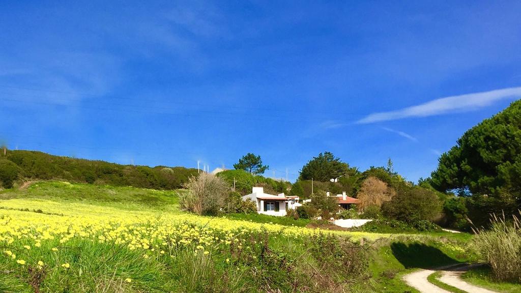 Casa Dos Mangues Guest House Сао Мартино до Порто Екстериор снимка