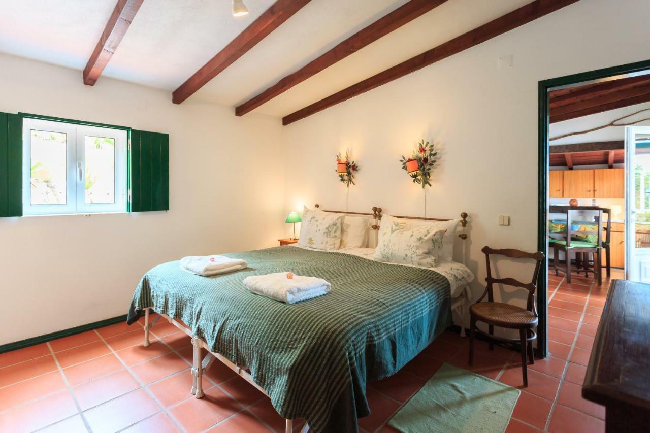 Casa Dos Mangues Guest House Сао Мартино до Порто Екстериор снимка